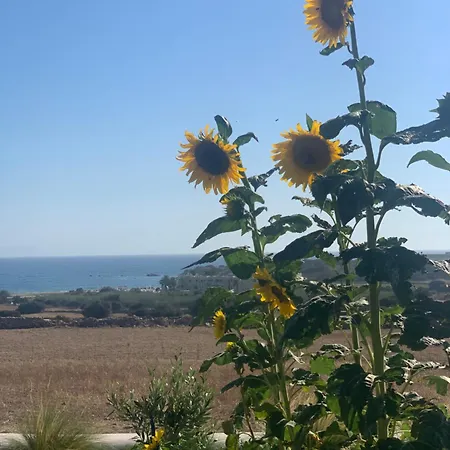 Marikos House, Pyrgaki Alyko Naxos *