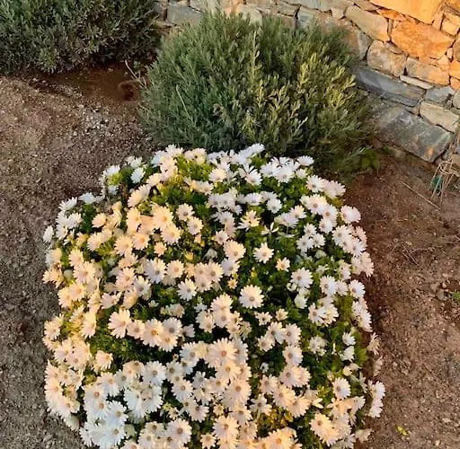 Marikos House, Pyrgaki Alyko Naxos Feriehus Aliko Beach