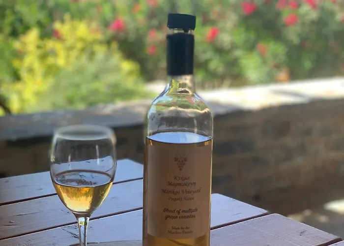 Marikos House, Pyrgaki Alyko Naxos Feriehus